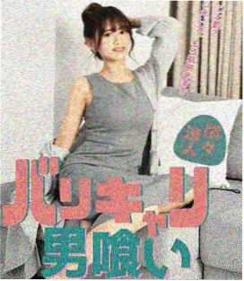 大明王朝1566影片条目封面